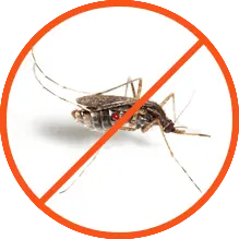 Απεντόμωση Κουνουπιών