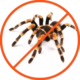 Απεντόμωση για αράχνες