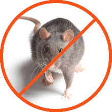Καταπολέμηση Ποντικών